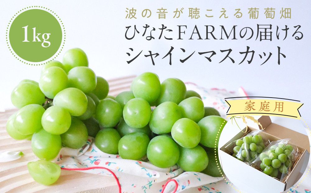 1039.[家庭用]波の音が聴こえる葡萄畑 ひなたFARM シャインマスカット 313726