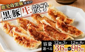 ＜選べる＞ 鹿児島黒豚使用 の 黒豚生餃子 36個 or 96個　K202-001