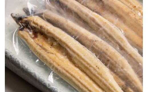 白焼き 国産うなぎ 高知県産 白焼き 5尾(100～110g×5尾) 合計500g以上 【7日程度で発送】 田野町完全天日塩 20g付き 黒箱 yw-0086