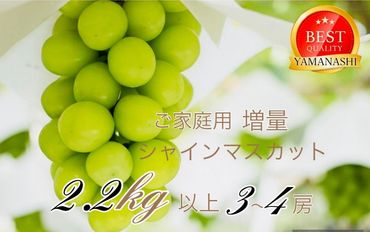 ＜25年発送先行予約＞ご家庭用シャインマスカット2.2ｋｇ以上（3～4房） 111-021