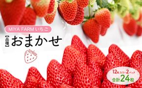 【先行予約】MIYAFARM いちご（品種：おまかせ）12粒入り×2パック 合計 24粒 ※北海道・沖縄・離島への配送不可 ※2027年1月中旬～5月下旬頃に順次発送予定