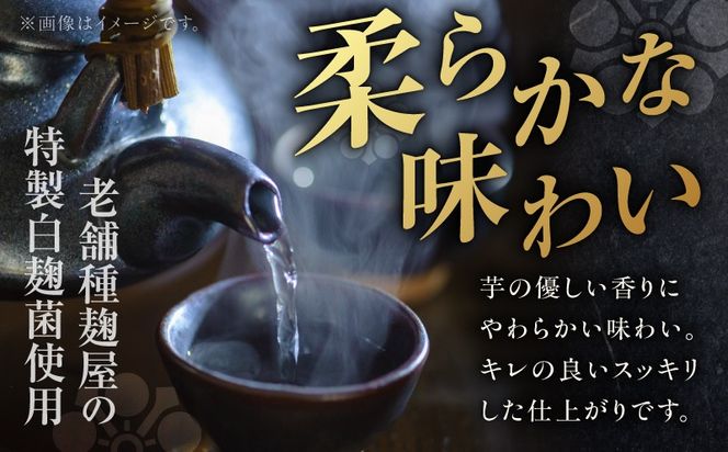 ＜選べる＞悪太郎 芋焼酎 25度（2本～12本/720ml or 1.8L）　K377-025_SKU