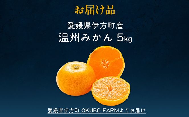 【先行予約】【家庭用】温州みかん 5kg ※北海道・沖縄・離島への配送不可 （2026年11月15日より順次発送予定） IKTAT003 
