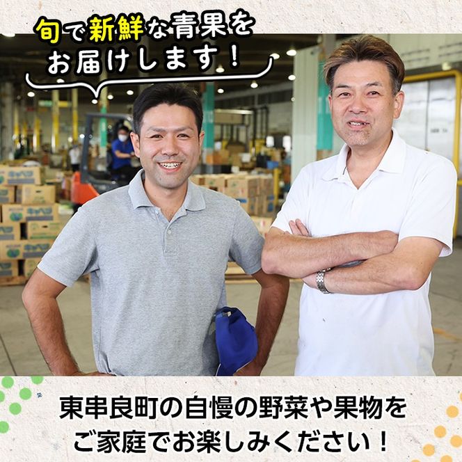 【0473608b】＜定期便・全3回＞自慢の農家×老舗青果店のフルーツ定期便(計6個) メロン アールスメロン スイカ すいか 小玉スイカ 肥後グリーン 果物 フルーツ 果実 セット 【有留青果】