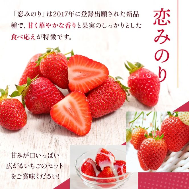 恋みのり 1kg  先行予約 約250g×4P  錦町産 いちご 恋みのり 苺 イチゴ  デザート フルーツ 2027年1月以降より順次発送 配送不可:離島