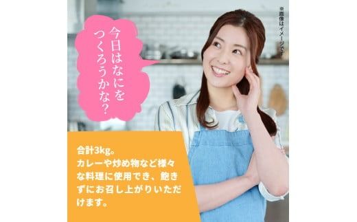 【選べる配送期間】 隔月でお届け！ 大分県産豚大容量切り落とし3kg定期便 計3回(計9kg) 計6回(計18kg)_2554R