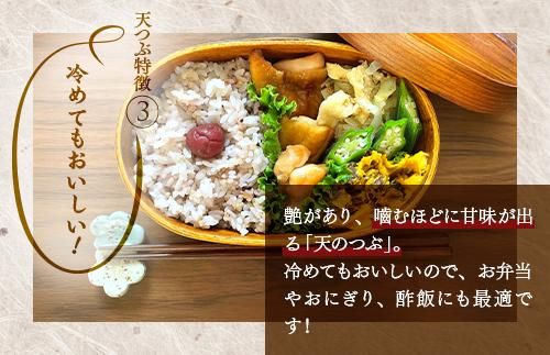 【令和8年産】【全5回定期便】米　国見町産　天のつぶ  10kg（5kg×2袋）　5回定期便 ※2026年10月～発送