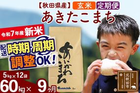 ※令和7年産 新米※《定期便9ヶ月》秋田県産 あきたこまち 60kg【玄米】(5kg小分け袋) 2025年産 お届け時期選べる お届け周期調整可能 隔月に調整OK お米 藤岡農産|foap-21309
