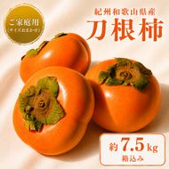 刀根柿 約 7.5kg※箱込み 家庭用 / カキ  甘い 種なし 美味しい 秋の味覚 和歌山県 紀美野町 ※2026年9月下旬～10月上旬に順次発送【frt504-c-tone-7d5】