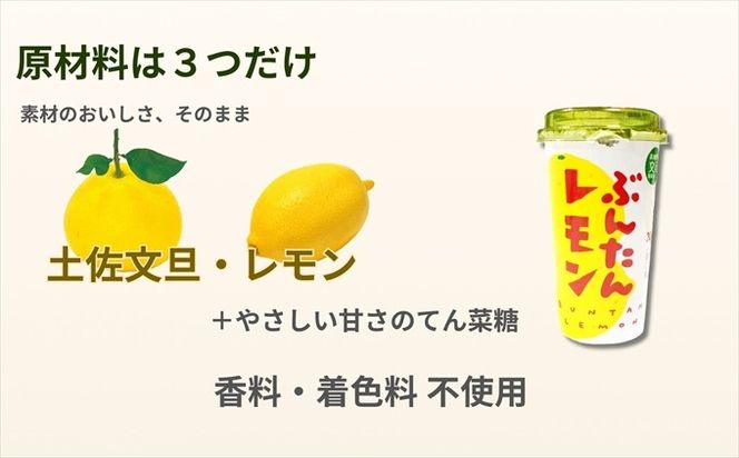 ぶんたんレモン　ストロータイプ　200ml　12本入り（高知アイス）