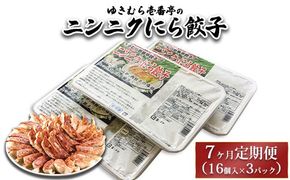 【7ヶ月定期便】ゆきむら壱番亭のニンニクにら餃子3パック(48個入り) ※離島への配送不可