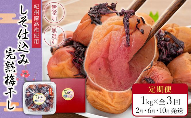 【定期便（2月・6月・10月）全3回お届け】 紀州南高梅使用 しそ仕込み完熟梅干し 無選別1kg ［TM214］ 303446_XH92267