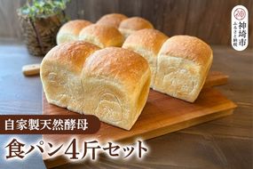 自家製天然酵母の食パン 4斤【パンと器のコネル】(H094123)