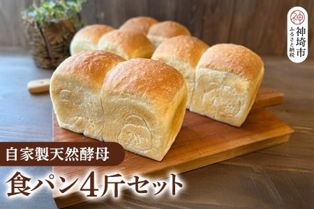 自家製天然酵母の食パン 4斤【パンと器のコネル】(H094123)