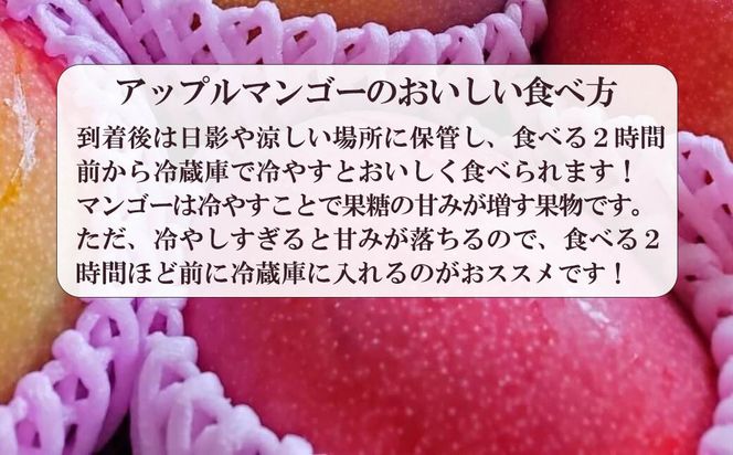 【フルーツ王国やまなし】アップルマンゴー ２個（７００ｇ～１ｋｇ）　フルーツ 果物 くだもの マンゴー 山梨 やまなし 富士川町