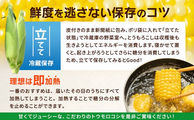 とうもろこし 味来 家庭用 20本 訳アリ トウモロコシ 宮城県産 甘い 夏 朝採れ 訳あり 産地直送 宮城県 大河原町