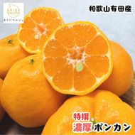 極甘 柑橘 特撰 濃厚 ポンカン 5kg+200g(傷み補償分) ｜ みかん 蜜柑 柑橘 果物 フルーツ くだもの 果実 国産 和歌山県 晩柑