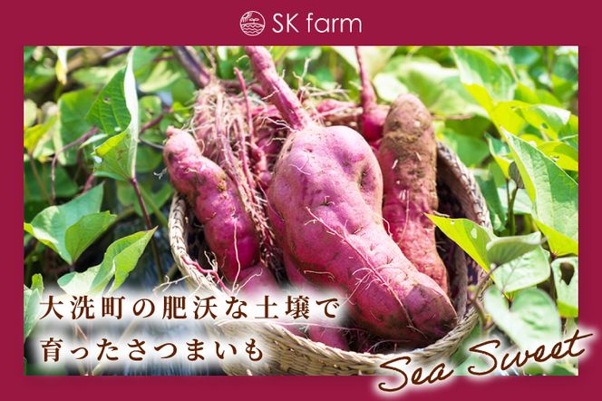 冷凍焼き芋 『Sea Sweet』 2.5kg 品種おまかせ詰め合わせ 3～5種類