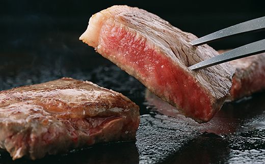 飛騨牛ヒレ ステーキ 120g (2枚) 飛騨牛 A5等級 和牛 黒毛和牛 F4N-2671