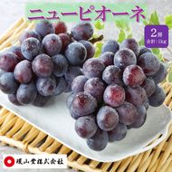 ぶどう 2027年 先行予約 秋のニューピオーネ 2房 合計1.0kg ブドウ 葡萄 岡山県産 国産 フルーツ 果物 ギフト 環山堂
