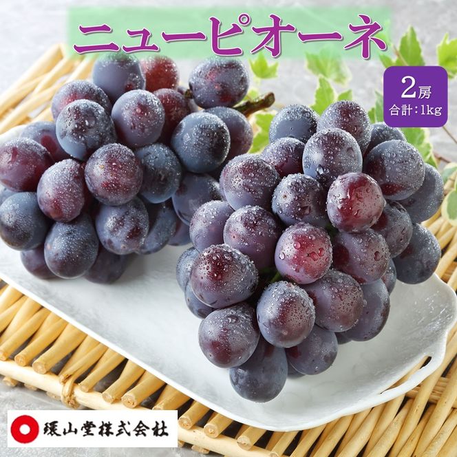 ぶどう 2027年 先行予約 秋のニューピオーネ 2房 合計1.0kg ブドウ 葡萄 岡山県産 国産 フルーツ 果物 ギフト 環山堂