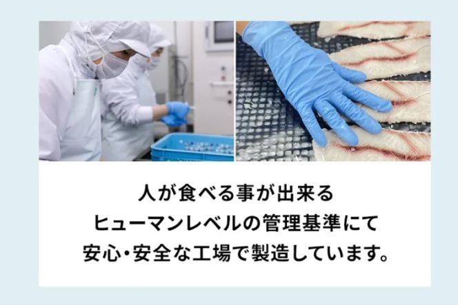 UMINO PET サメ軟骨スティック 40g×1個 [石渡商店 宮城県 気仙沼市 20563943] ペットフード ドッグフード 犬 いぬ 犬用 ペット おやつ オヤツ 国産 気仙沼産 サメ 鮫 軟骨