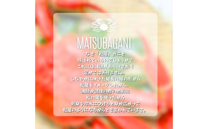松葉がに タグ付き（茹で）中サイズ 1枚 312011_FT015