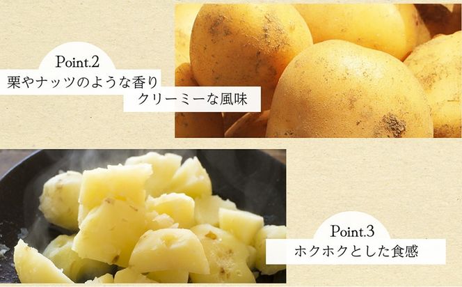 BH049 じゃがいも 希少品種 ながさき黄金 S～2Lサイズ混合 約10kg [ 野菜 芋 ジャガイモ 10キロ ほくほく 先行予約 常備野菜 サイズ混同 国産 贅沢宝庫 長崎県 島原市 ]