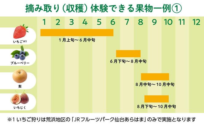 旬の果物摘み取り体験チケット　1回5,000円分　【チケット 券 】 041009_EK001