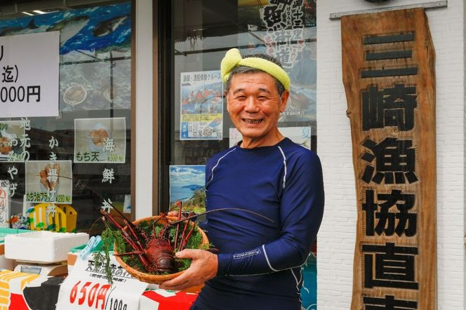 【先行予約】【数量限定】産地直送！活き伊勢えび 約200～250g×3尾 ※北海道・東北地方・沖縄・離島への配送不可（2025年9月上旬頃より順次発送） IKTJ009