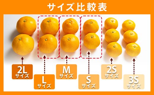 みかん 訳あり 山北みかん ご家庭用 約10kg（80～120個程度） 山北みらい - 果物 フルーツ 柑橘類 温州みかん ミカン 蜜柑 甘い おいしい 美味しい 高知県 香南市 yk-0059
