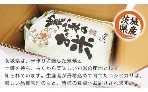 【 産地直送 】 茨城県産 無洗米 コシヒカリ 5kg 令和6年産 精米 米 お米 コメ 白米 こしひかり [CZ011ci]