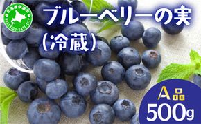 北海道 伊達市産 ブルーベリーの実(A品／冷蔵) 500g｜国産 果物 フルーツ ジャム パイ お菓子作り【kzh-022】