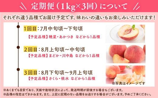 ◆2026年夏発送◆桃源の極み～産直・桃・約1kg×3回～ ※離島への配送不可 ※2026年7月上旬～9月上旬頃に順次発送予定 ｜ 先行予約 予約 数量限定 桃 もも モモ 果物 くだもの フルーツ 詰め合わせ 福島 ふくしま
