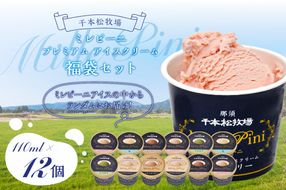 ns025-014-12 福袋セット（ミレピーニアイス12個セット）【千本松牧場】