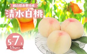 桃 2026年 数量限定 清水白桃 5～7玉 計1.5kg以上 岡山県 赤磐市産