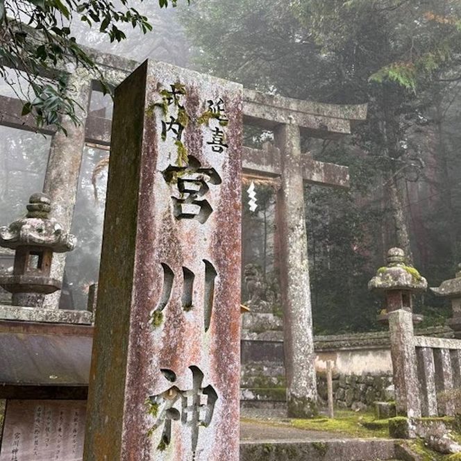 京都・亀岡産きぬひかり「宮川神社米」3kg(1kg×3袋) 米 令和7年産 ※北海道・沖縄・離島への配送不可