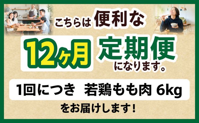 宮崎県産 若鶏切身もも肉 6kg（300g×20袋）【12か月定期便】