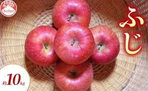 【2026年11月～発送】ふじ 約10kg りんご リンゴ 林檎 果物 フルーツ 長野県 長野 山ノ内町