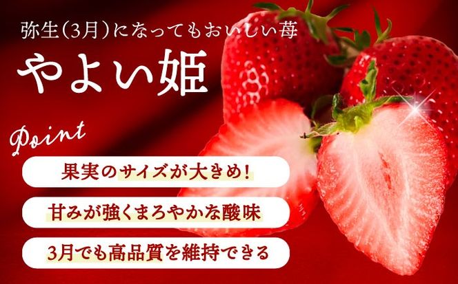 【先行予約】 ＼毎年12月より順次発送／ やよい姫 20粒 果物 いちご フルーツ 愛西市 / くぼ苺農園 【配達不可：北海道・沖縄・離島】[AECJ013]