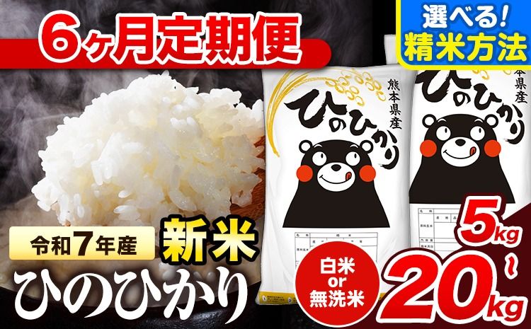 新米 令和7年産 [6ヶ月定期便] 無洗米 も選べる ひのひかり 定期便あり 5kg 10kg 15kg 20kg [申込み翌月から発送] 熊本県産 ふるさと納税 無洗米 白米 精米 ひの 米 こめ ふるさとのうぜい ヒノヒカリ コメ お米---hn6tei_141000_10kg_mo6_hkw_h---