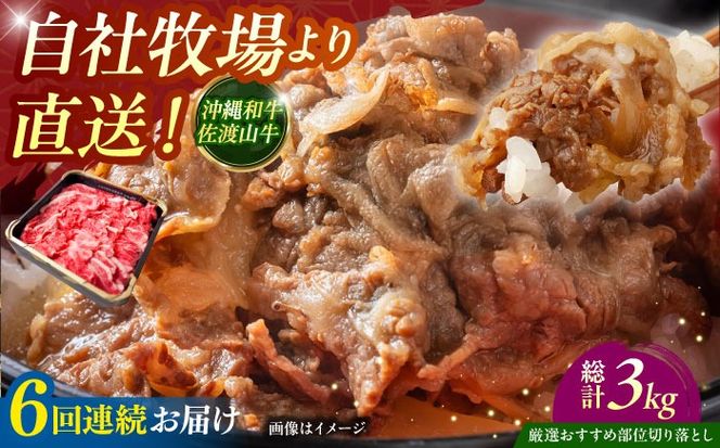 yꌧszyS6ցzyIIߕʁza nR ؂藎Ƃ 500g  ē Ă a Ԑg s / ̃Tu[[BCBC009]