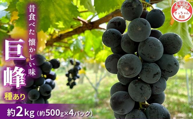 【2026年9月～発送】種あり巨峰 約2kg 安心安全 こだわりの栽培方法 除草剤不使用 栽培期間中 ネオニコチノイド系農薬不使用 化学合成肥料不使用 