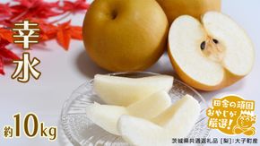 梨 幸水 約 10kg 【2026年8月より発送開始】（茨城県共通返礼品 [梨]：大子町産）田舎の頑固おやじが厳選！ [BI303-NT]