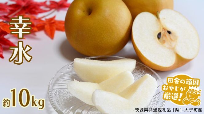 梨 幸水 約 10kg 【2026年8月より発送開始】（茨城県共通返礼品 [梨]：大子町産）田舎の頑固おやじが厳選！ [BI303-NT]