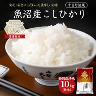 特別栽培米 魚沼産こしひかり(十日町地域) 精米 10kg(5kg×2) 米 お米 コシヒカリ 十日町市