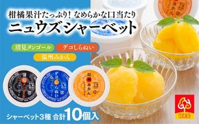 果汁たっぷり！シャーベットなのに滑らかな口当たりニュウズシャーベット3種10個 ｜ みかん mikan ミカン 果物 フルーツ 愛媛県産 伊方町 株式会社ニュウズ ※離島への配送不可 ※2024年12月上旬頃より順次発送予定