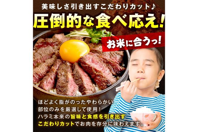 【定期便】【訳あり】牛ハラミ（サガリ） 秘伝のタレ込み 味付け肉 600g（300g×2パック）【定期便 毎月×3回】　YK00470