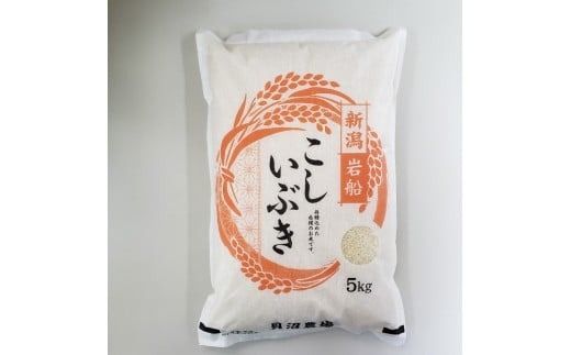 yVszyߘa7NYāz Ԃ 5kgi5kg×1j VsDY@1067101