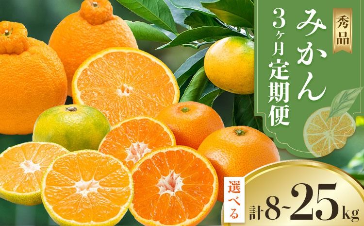 秀品 みかん 3ヶ月 定期便 選べる 内容量 日本フルーツ株式会社[2025年10月上旬-12月末頃出荷]熊本県 長洲町 早生みかん 温州みかん 不知火 果物 フルーツ スイーツ デザート ギフト ご贈答---sn_nfuktei_24000_mini_aug3---